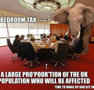 229596_10151105317492914_797539314_n